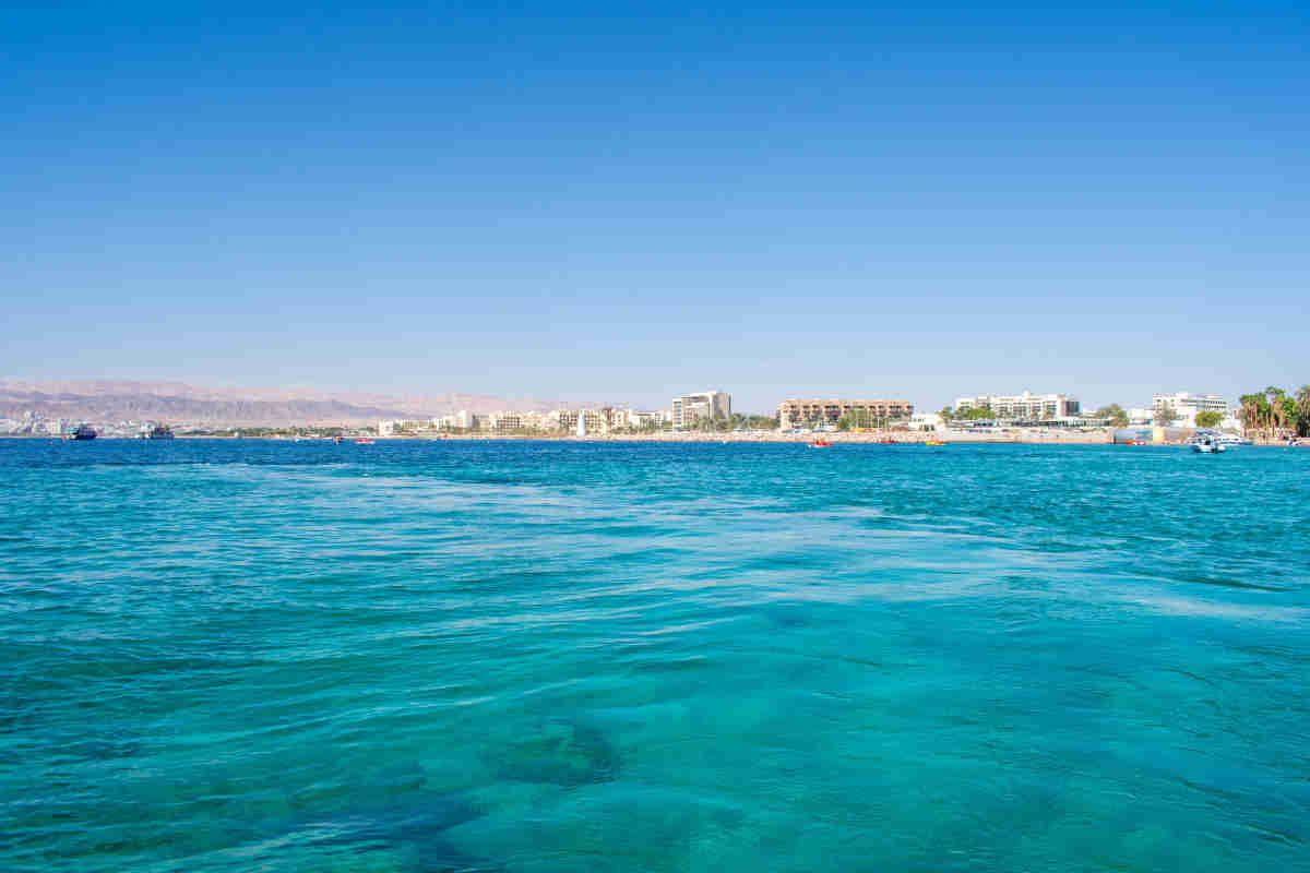 Blogue 2 Reserva Marinha de Aqaba